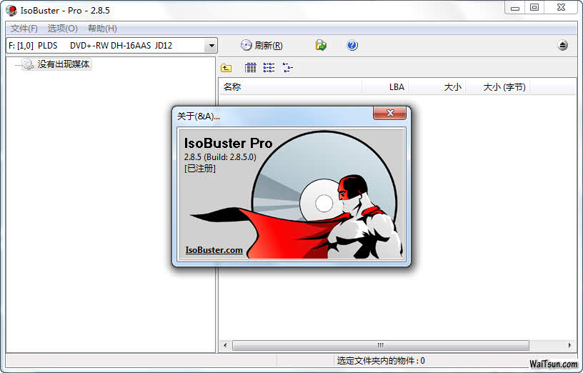 Smart Projects IsoBuster Pro v2.8.5.0 多国语言中文版┆ 注册机